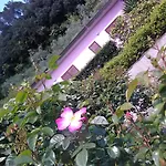 Villino Isò Alojamento de Acomodação e Pequeno-almoço La Spezia