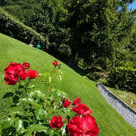 维林诺埃索住宿加早餐旅馆 3*