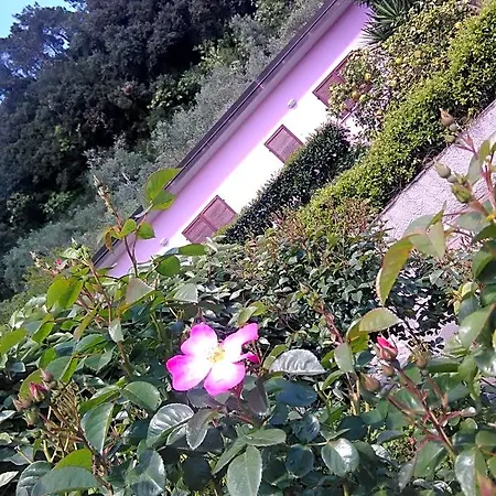 B&B Villino Iso 라스페치아