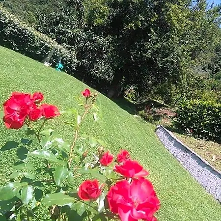 Villino Iso B&B 라스페치아