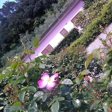 Villino Iso B&B 라스페치아